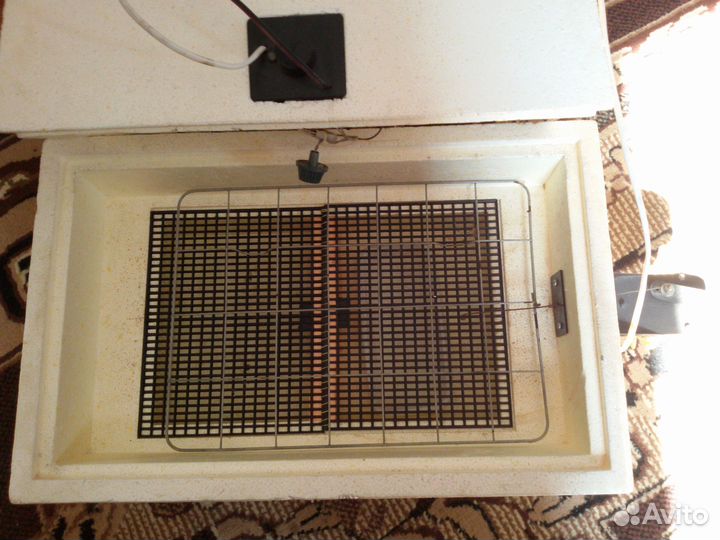 Инкубатор бытовой 