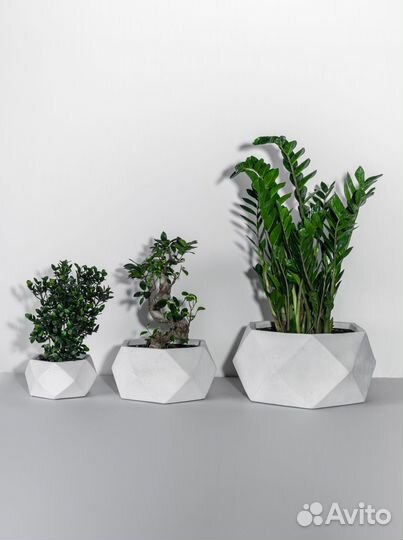 Кашпо горшок для цветов