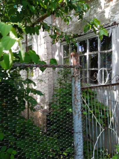 Дом 53,3 м² на участке 13 сот.