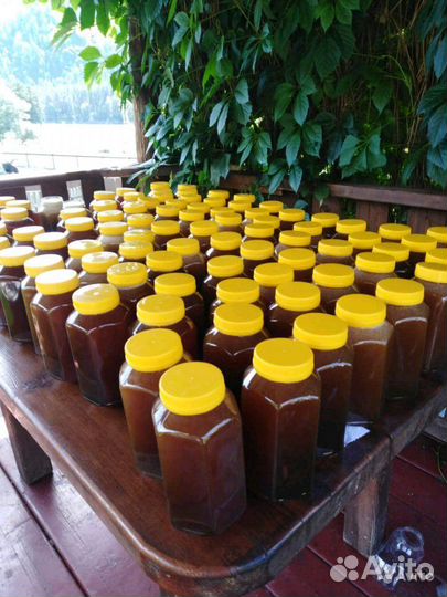 Алтайский мед