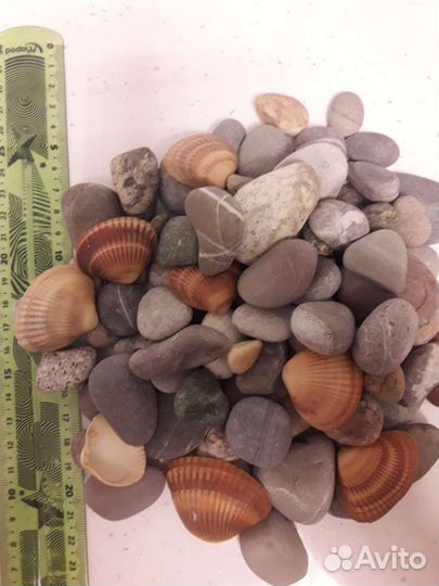 Грунт для аквариума