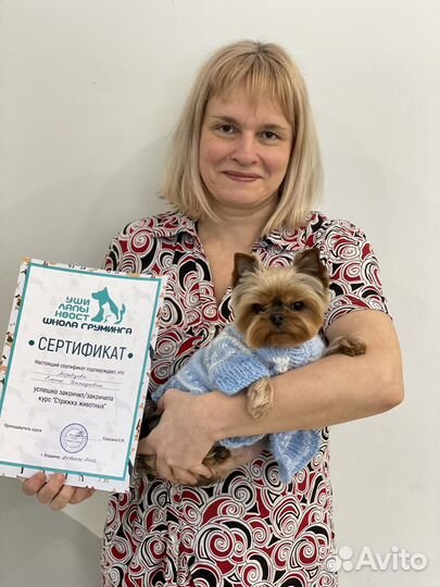 Курсы по стрижке животных