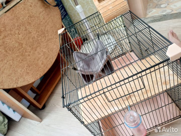 Клетка для грызунов
