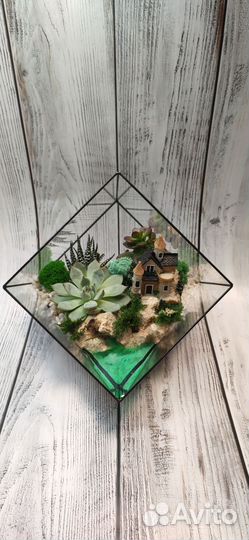 Флорариум, цветы, подарок