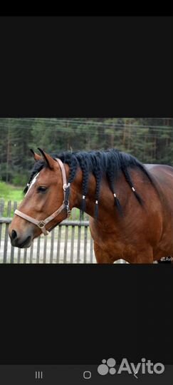 Навоз перегной в мешках