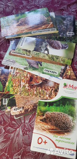 Развивающие карточки разные