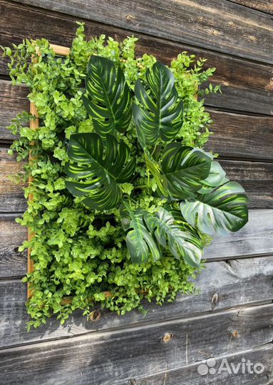 Фитокартины