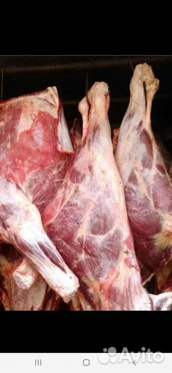 Мясо Говядина Мякоть