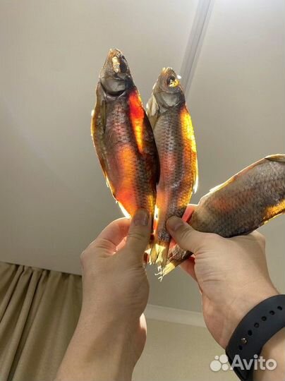 Вобла вяленая