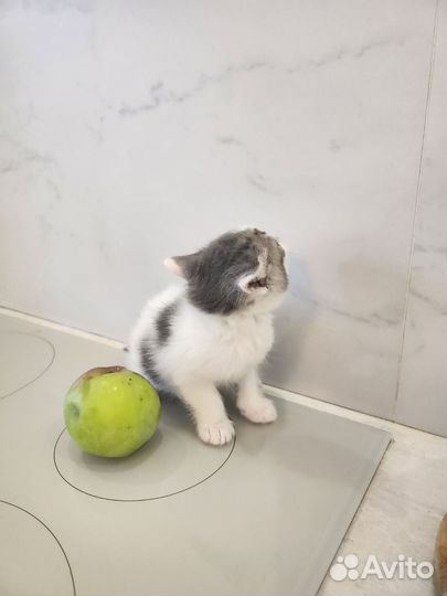 Чудо 1мес в дар