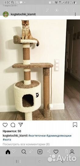 Когтеточки для кошек