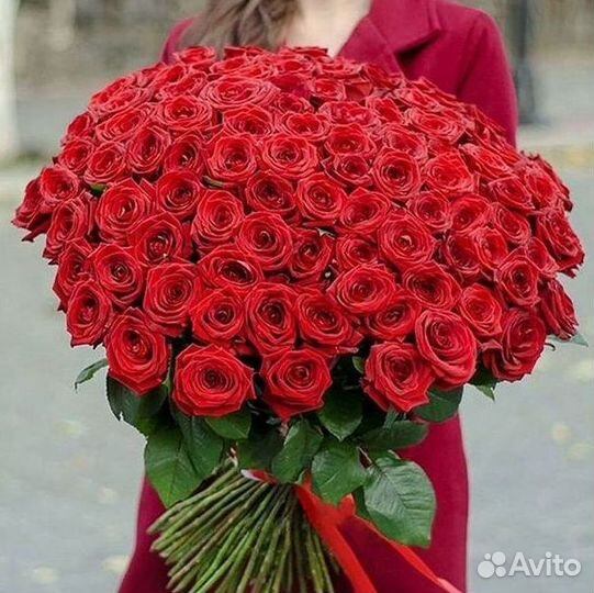 Розы гиганты 140 150 160 170 180 200