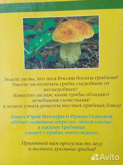 Книга-Грибы России.-Справочник