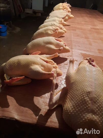 Для дома для дачи