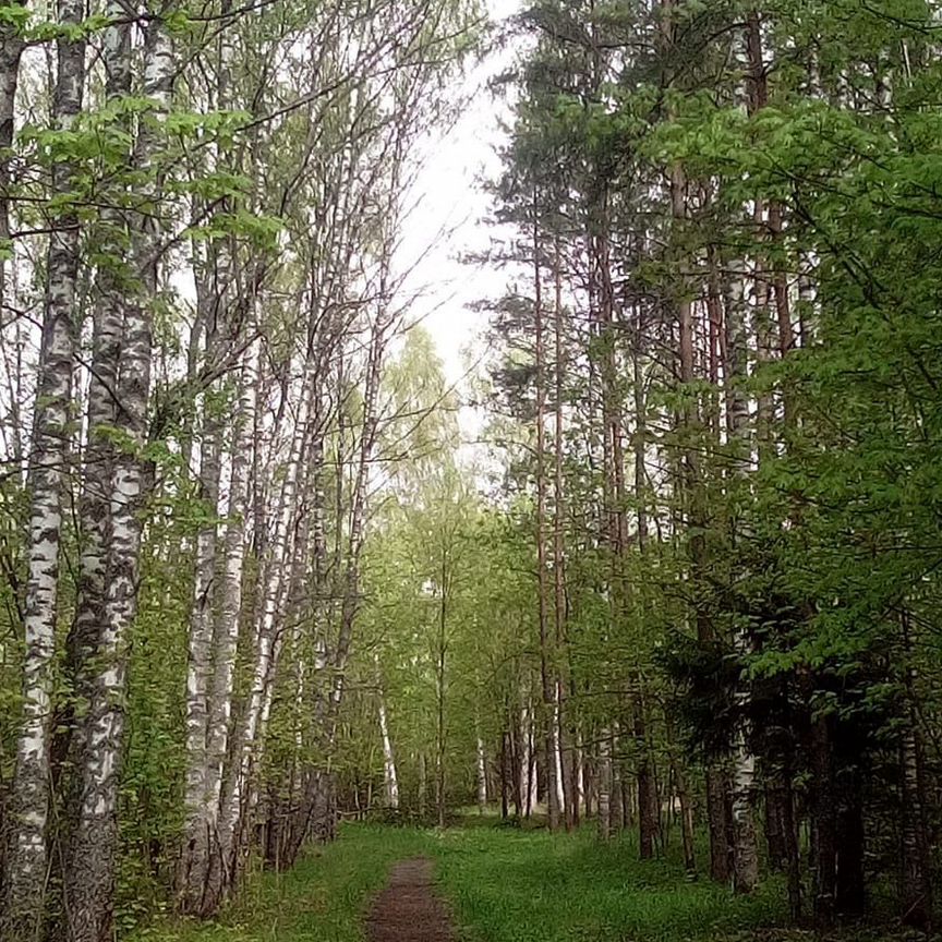 Квартира 1-комн. 36.3 м² в Тейково — фото 4