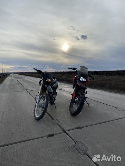 Baltmotors 250