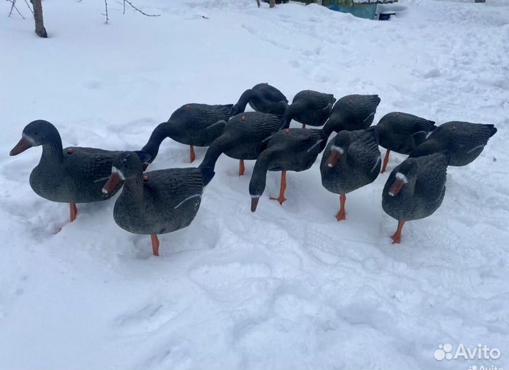 Чучела гуся sport plast