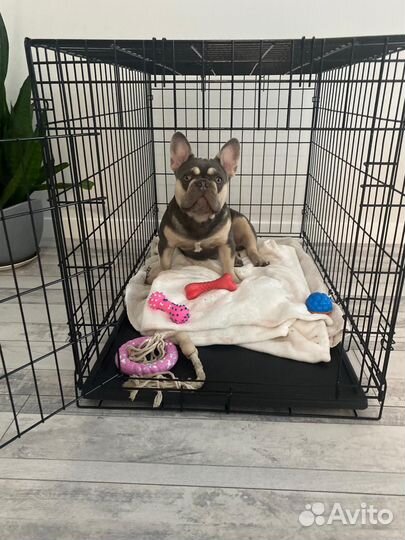 Вольер для собак