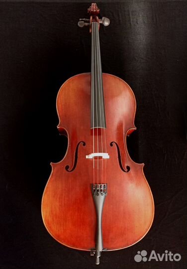 Виолончель 4/4
