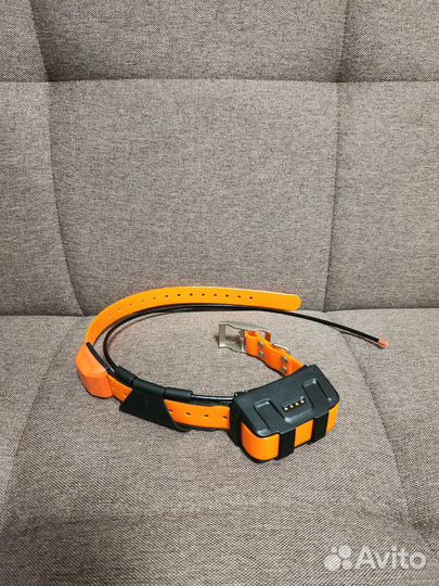 Ошейник Garmin DC50 рус. лай