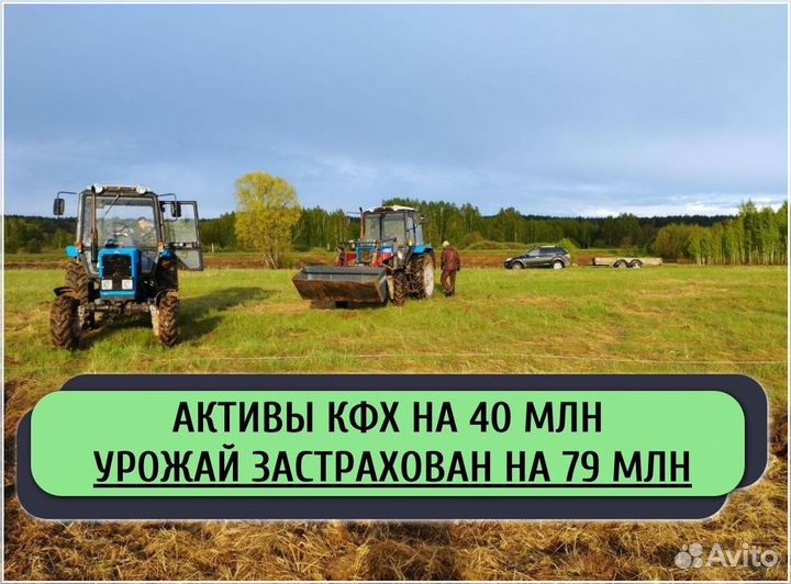 Ищу инвестора в с/х. Доход до 50%