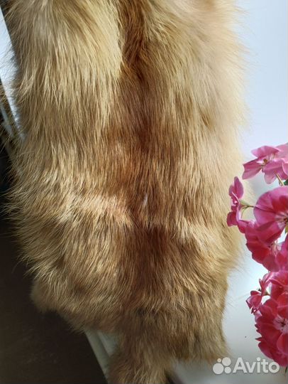 Лисья шкура