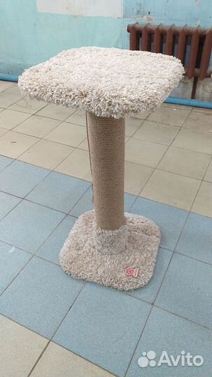 Товары для животных