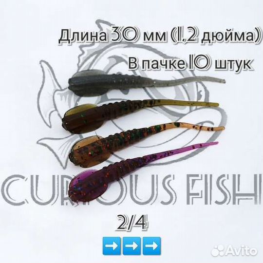 Curious Fish Golovastik 1,2 дюйма (30мм)