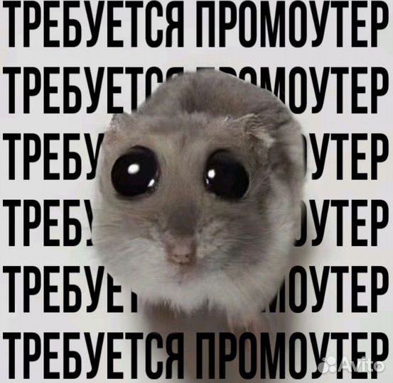 Подработка промоутер 14 лет