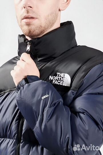 Зимняя куртка TNF