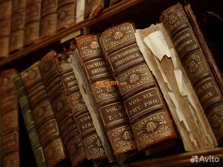 Напишу сочинение