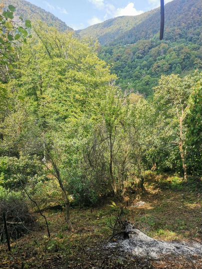 Участок 6 сот. (СНТ, ДНП)