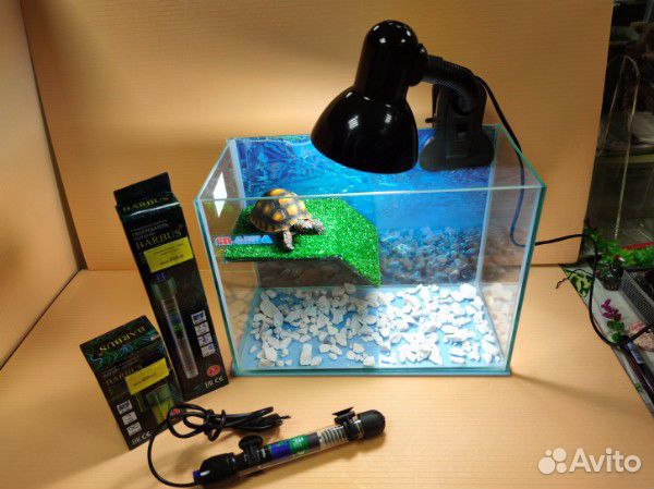 Черепашник полный комплект