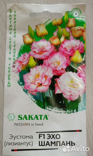 Эустома рассада