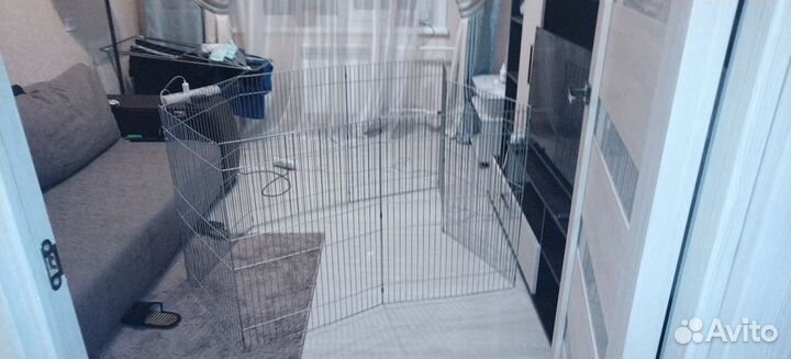 Загон для собак