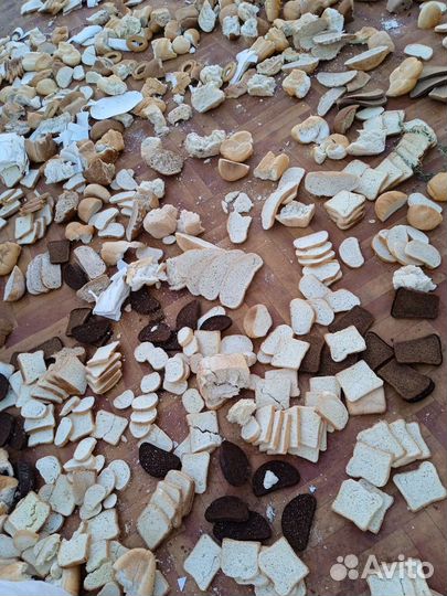 Хлеб для животных