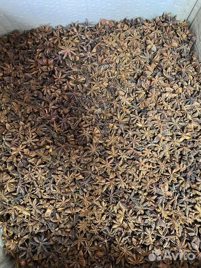 Бадьян звездочки (анис)