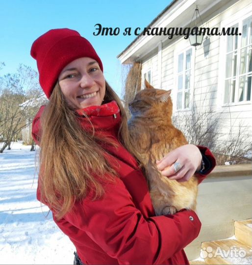 Рекрутер/Менеджер по подбору персонала