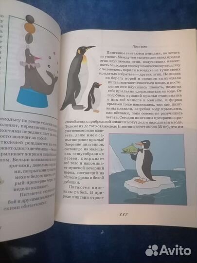 Большая книга знаний