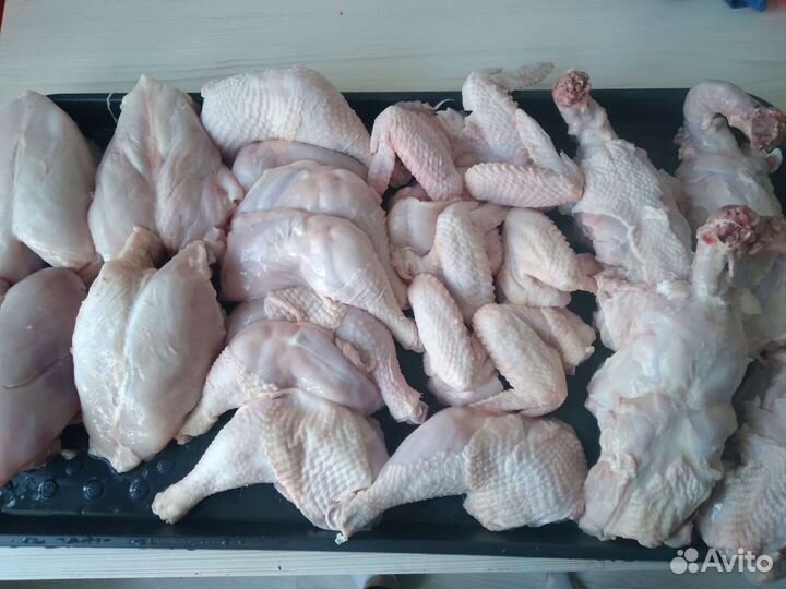 Мясо домашней курицы. Бройлер