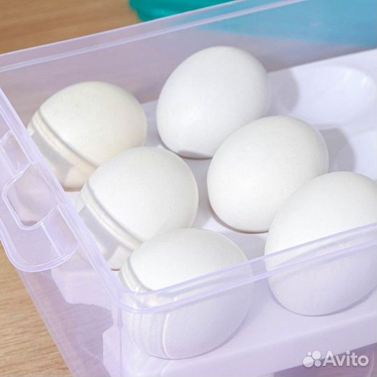 Контейнер для хранения яиц, 24 ячейки, двухуровнев