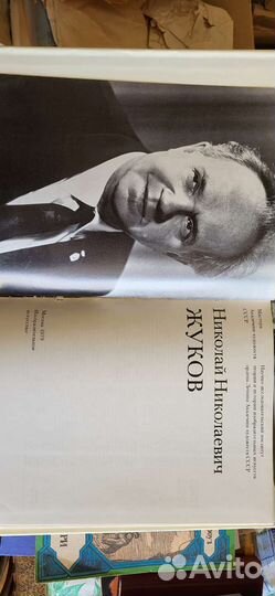 Николай Николаевич Жуков изобразительное искусство