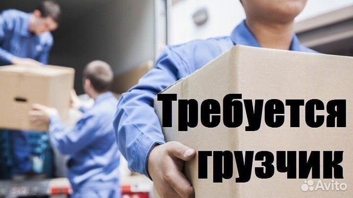 Без опытагрузчики