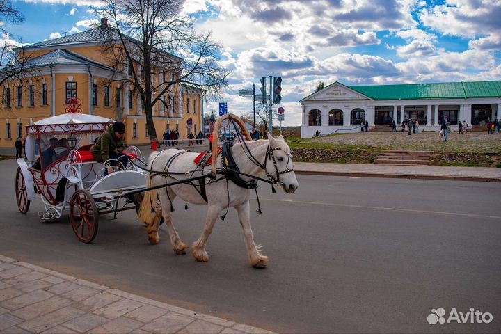 Экскурсия по городу Суздаль в карете