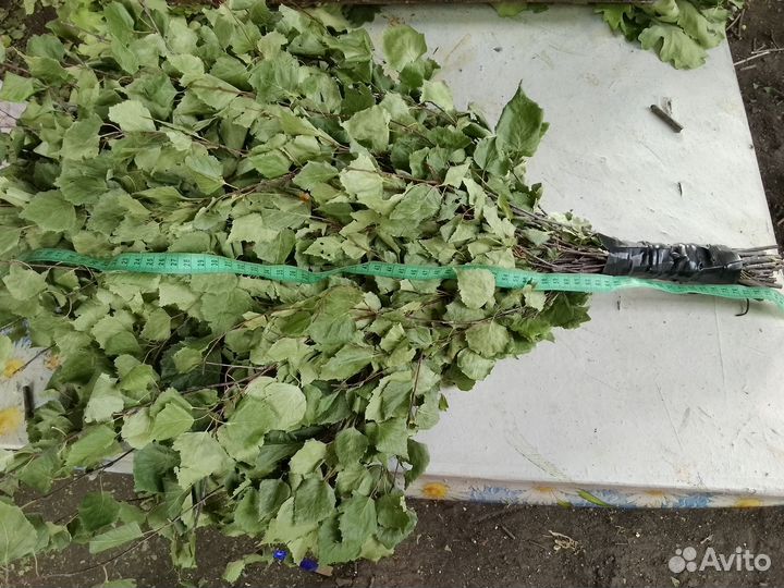 Веники для бани