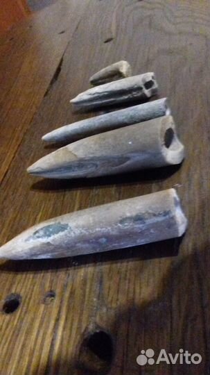 Белемниты(чертов палец.зуб дракона)