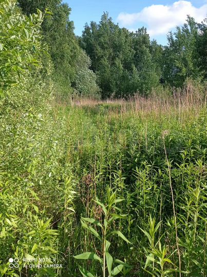 Дача 20 м² на участке 24 сот.