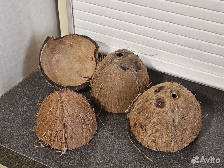 Кокосовая скорлупа