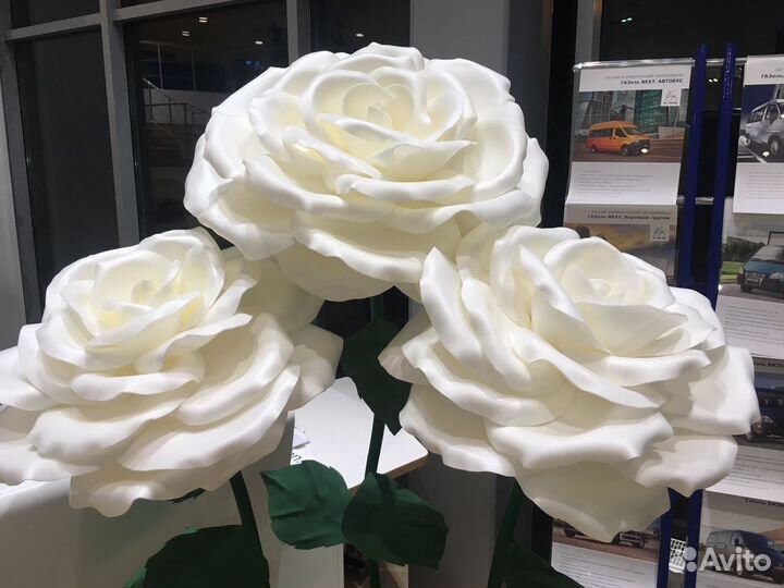 Большие Ростовые Цветы