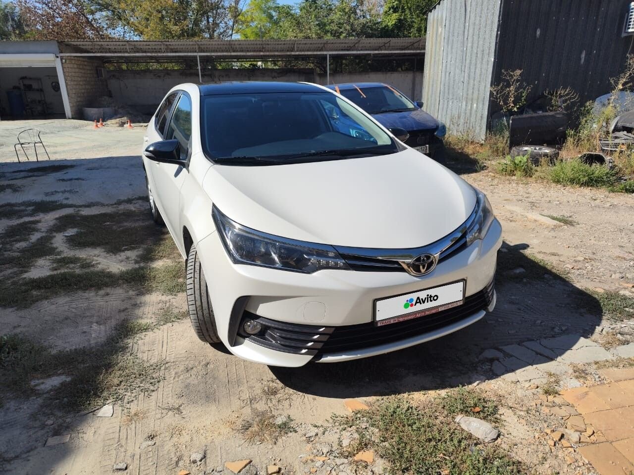 Toyota Corolla: фото владельца